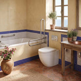 Fienza Alix Ambulant Rimless Wall-Faced Toilet Pan with Slim Seat Option 571x368x465/472mm - Gloss White