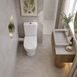 Fienza Petra Rimless Tornado Close-Coupled Toilet Suite with Left/Right Skew Trap 665x355x780mm - Gloss White