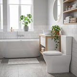 Fienza Tono Tornado Rimless Back to Wall Toilet Suite Slim Seat Available 660x360x885mm - Gloss White
