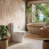 Fienza Tono Tornado Rimless Back to Wall Toilet Suite Slim Seat Available 660x360x885mm - Gloss White