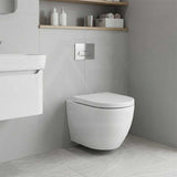 Fienza Koko Rimless Tornado Flush Wall Hung Toilet Pan Only 490x365x365mm - Gloss White