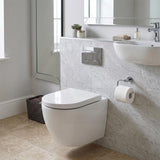 Fienza Koko Rimless Tornado Flush Wall Hung Toilet Pan Only 490x365x365mm - Gloss White