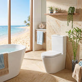 Fienza Aluca Rimless Tornado Back to Wall Toilet Suite Slim Seat Available 620x385x840mm - Gloss White