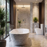 Fienza Aluca Rimless Tornado Back to Wall Toilet Suite Slim Seat Available 620x385x840mm - Gloss White
