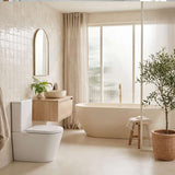 Fienza Aluca Rimless Tornado Back to Wall Toilet Suite Slim Seat Available 620x385x840mm - Gloss White