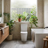 Fienza Aluca Rimless Tornado Back to Wall Toilet Suite Slim Seat Available 620x385x840mm - Gloss White