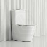 Fienza Aluca Rimless Tornado Back to Wall Toilet Suite Slim Seat Available 620x385x840mm - Gloss White