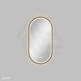 450x900mm Fienza Empire Pill Framed Touch Sensor Frontlit LED Mirror Vertical/Horizontal Matt Black