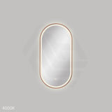 450x900mm Fienza Empire Pill Framed Touch Sensor Frontlit LED Mirror Vertical/Horizontal Brushed Copper