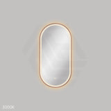 450x900mm Fienza Empire Pill Framed Touch Sensor Frontlit LED Mirror Vertical/Horizontal Brushed Copper