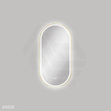 450x900mm Fienza Empire Pill Framed Touch Sensor Frontlit LED Mirror Vertical/Horizontal Brushed Gold
