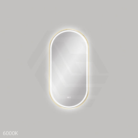450x900mm Fienza Empire Pill Framed Touch Sensor Frontlit LED Mirror Vertical/Horizontal Brushed Gold