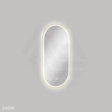 450x900mm Fienza Empire Pill Framed Touch Sensor Frontlit LED Mirror Vertical/Horizontal Brushed Gold