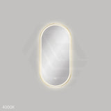 450x900mm Fienza Empire Pill Framed Touch Sensor Frontlit LED Mirror Vertical/Horizontal Brushed Gold