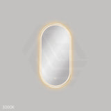450x900mm Fienza Empire Pill Framed Touch Sensor Frontlit LED Mirror Vertical/Horizontal Brushed Gold