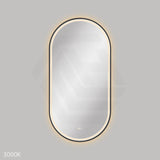 600x1200mm Fienza Empire Pill Framed Touch Sensor Frontlit LED Mirror Vertical/Horizontal Matt Black