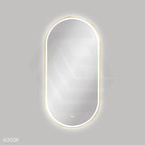 600x1200mm Fienza Empire Pill Framed Touch Sensor Frontlit LED Mirror Vertical/Horizontal Brushed Gold