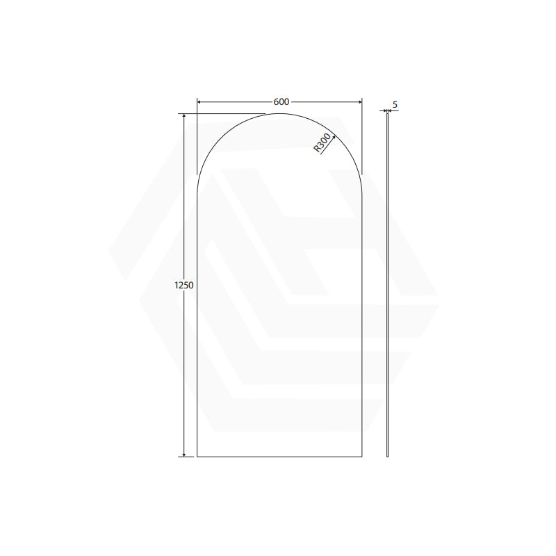 450x1175/600x1250mm Fienza Accessible Care Polished Pencil Edge Arch Wall Mirror