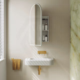 450x900x153mm Fienza Arch Pencil Edge Mirror MDF Board LED Shaving Cabinet Left/Right Hinge Matt White