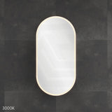450x900x153mm Fienza Pill Shape Pencil Edge Mirror MDF Board LED Shaving Cabinet Left/Right Hinge Matt White