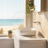 Fienza Pebble Large Above Counter Ceramic Basin Slim Edge 650x400x100mm - Variant Colour
