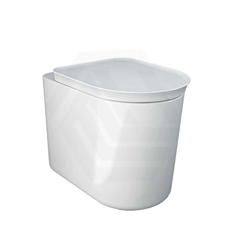 RAK Valet Rimless Wall-Faced Pan with Soft Close Seat 560x363x420mm - Gloss White/Matt White