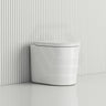 RAK Valet Rimless Wall-Faced Pan with Soft Close Seat 560x363x420mm - Gloss White/Matt White