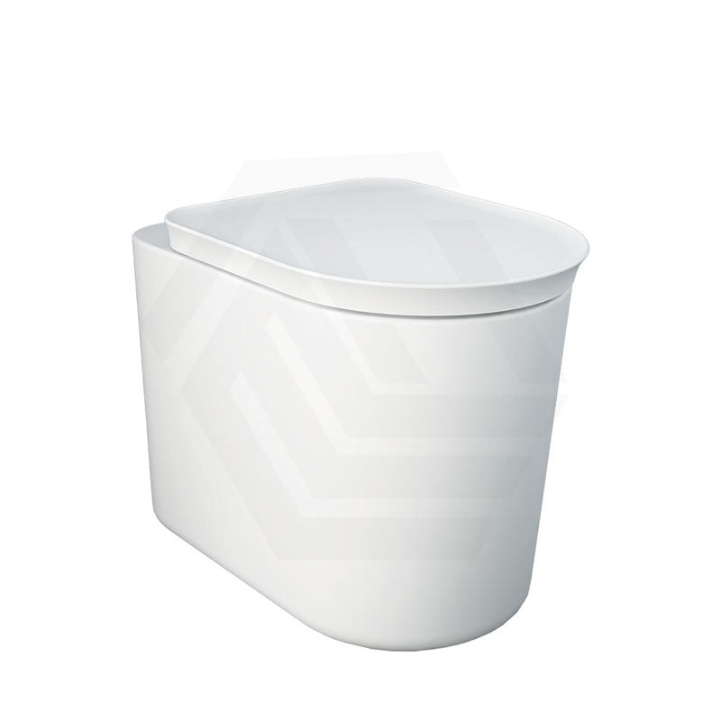 RAK Valet Rimless Wall-Faced Pan with Soft Close Seat 560x363x420mm - Gloss White/Matt White