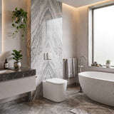 RAK Valet Rimless Wall-Faced Pan with Soft Close Seat 560x363x420mm - Gloss White/Matt White