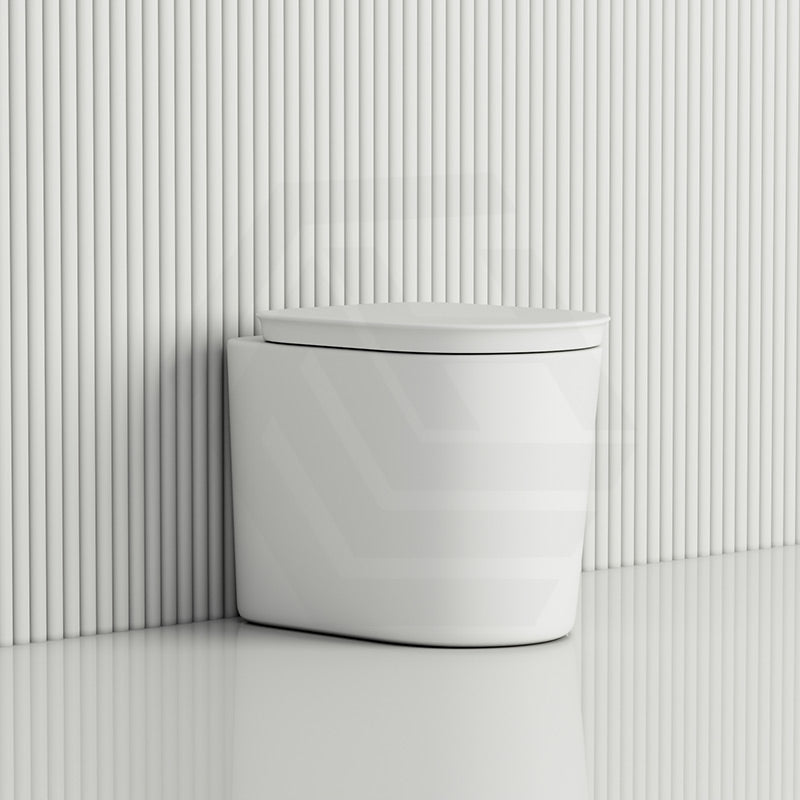 RAK Valet Rimless Wall-Faced Pan with Soft Close Seat 560x363x420mm - Gloss White/Matt White
