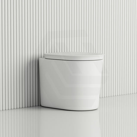 RAK Valet Rimless Wall-Faced Pan with Soft Close Seat 560x363x420mm - Gloss White/Matt White