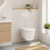 RAK Valet Rimless Wall-Hung Pan with Soft Close Seat P-trap Only 560x363x350mm - Gloss White/Matt White
