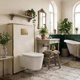 RAK Valet Rimless Wall-Hung Pan with Soft Close Seat P-trap Only 560x363x350mm - Gloss White/Matt White