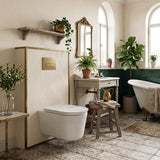 RAK Valet Rimless Wall-Hung Pan with Soft Close Seat P-trap Only 560x363x350mm - Gloss White/Matt White