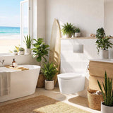RAK Valet Rimless Wall-Hung Pan with Soft Close Seat P-trap Only 560x363x350mm - Gloss White/Matt White