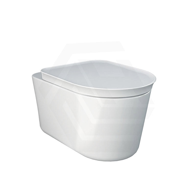 RAK Valet Rimless Wall-Hung Pan with Soft Close Seat P-trap Only 560x363x350mm - Gloss White/Matt White