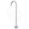 Fienza Kaya Floor Mounted Gooseneck Bath Spout Brass Outlet Variant Colour Available