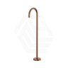 Fienza Kaya Floor Mounted Gooseneck Bath Spout Brass Outlet Variant Colour Available