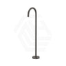 Fienza Kaya Floor Mounted Gooseneck Bath Spout Brass Outlet Variant Colour Available