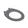 Fienza Stella Care Adjustable Link Toilet Seat UF Gloss Blue/Gloss Grey