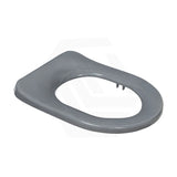 Fienza Stella Care Toilet Seat UF Anti-Lateral Gloss Grey