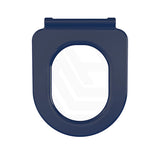 Fienza Delta Care Toilet Seat UF Anti-Lateral Variant Colour Available