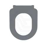 Fienza Delta Care Toilet Seat UF Anti-Lateral Variant Colour Available