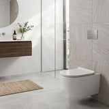 Fienza Lucero Toilet Seat UF Soft Close - Gloss White
