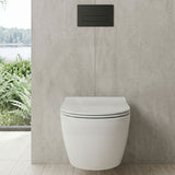 Fienza Lucero Toilet Seat UF Soft Close - Gloss White