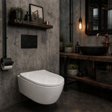 Fienza Luciana Toilet Seat UF Soft Close Gloss White