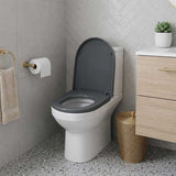 Fienza Empire UF Soft Close Toilet Seat 425x363x49mm - Gloss White/Gloss Grey