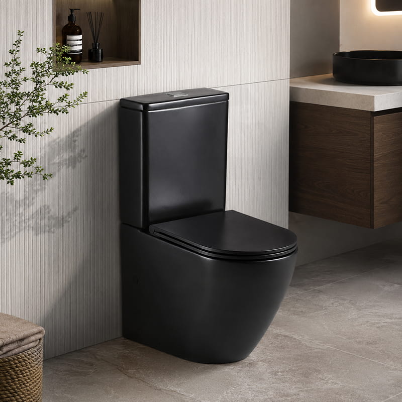 Fienza Koko UF Soft Close Slim Toilet Seat - Gloss White / Matt Black