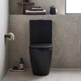 Fienza Koko UF Soft Close Slim Toilet Seat - Gloss White / Matt Black