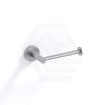 Feron Round Stainless Steel Toilet Roll Holder Variant Colour Available